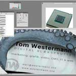 tom westermann-digital blæksprutte-grafisk erfaring