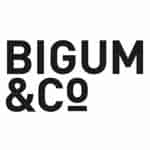 tom westermann-digital blæksprutte-kursus bigum logo