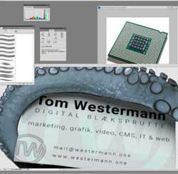 Tom Westermann - Grafisk erfaring